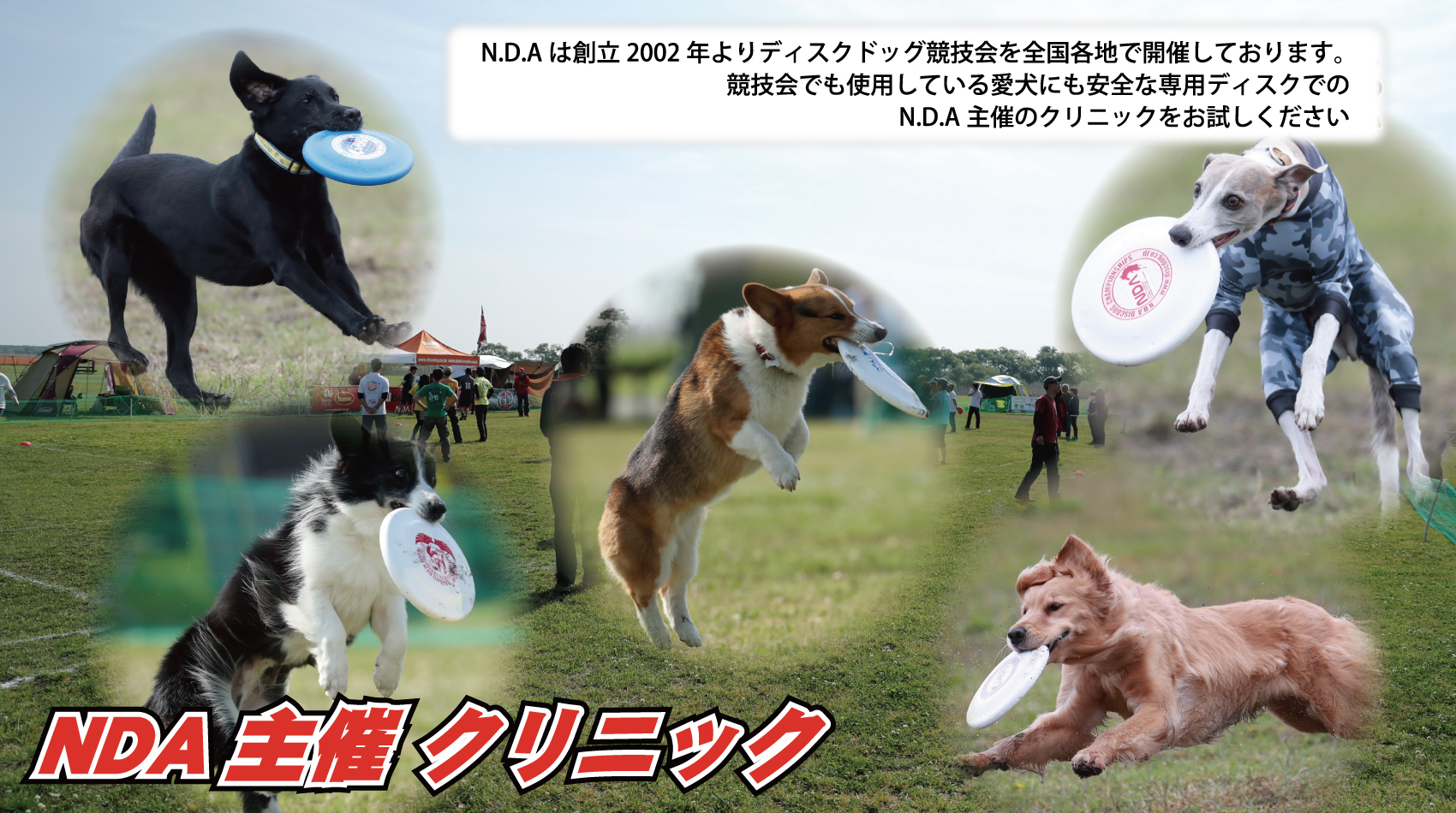 NDA クリニック トップ