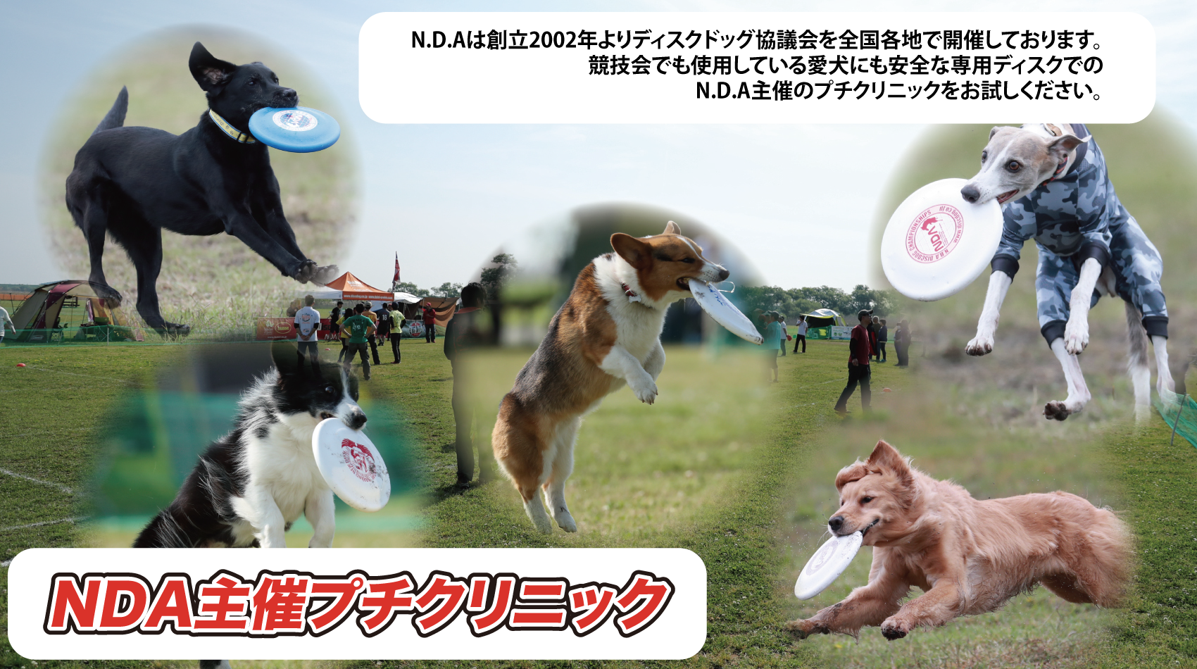 NDA クリニック トップ